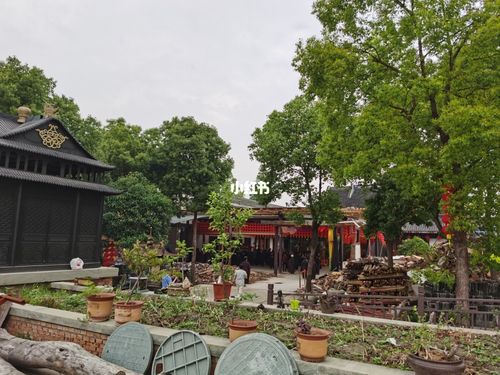 四月初一_净业寺_景点_出行_人文风光展示_景点展示