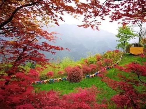 什邡-川西红枫岭