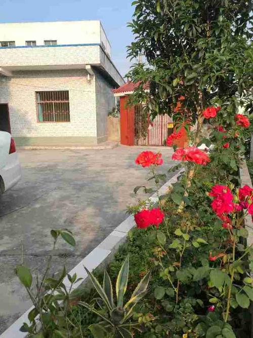 「农家小院出租」租个小院,种上花草,享受田园生活