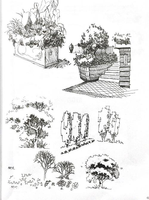 景观设计元素表现——植物_植树节去哪玩_形体_手绘_vlog_草本_园林