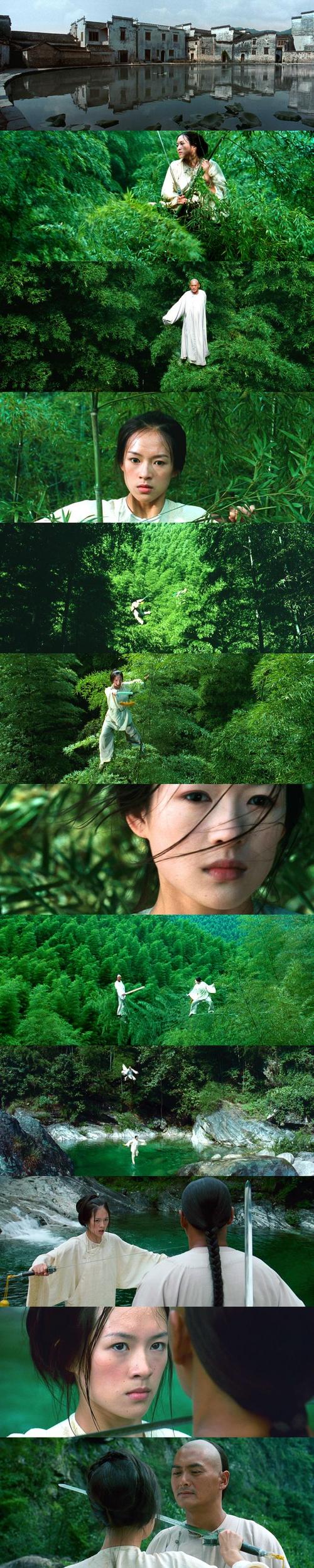 【卧虎藏龙 crouching tiger, hidden dragon (2000)】25