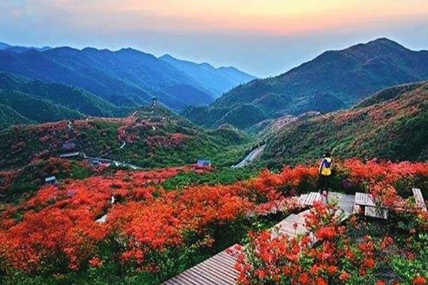 浏阳大围山一日游攻略 2021浏阳大围山妇女节门票免费