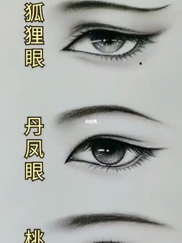眼睛的几种类型_素描_文化_绘画