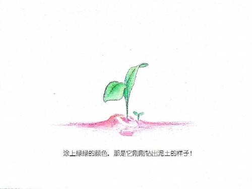 春天和夏天的绘本故事合集(ppt可下载)
