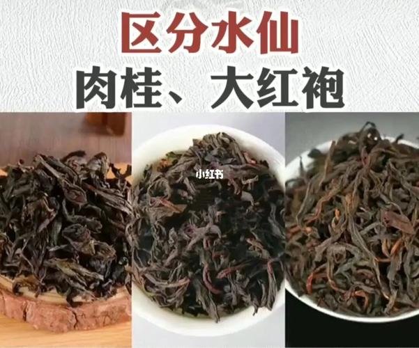 如何区分武夷岩茶水仙,肉桂,大红袍_水仙花_大红袍_岩茶_茶树_牛栏