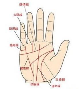 手相看智慧线