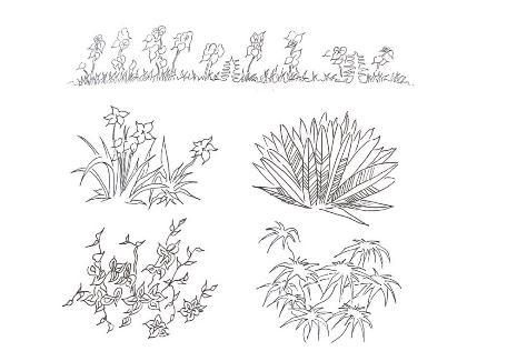 灌木丛植物简笔画树叶简笔画
