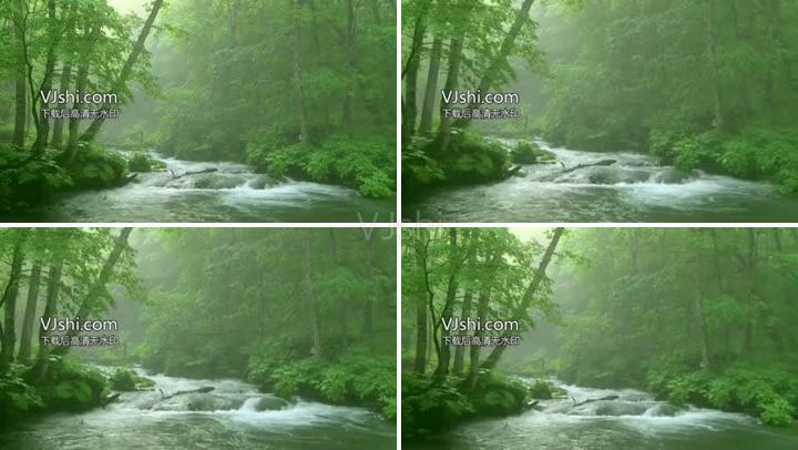 林间小溪,阳光明媚