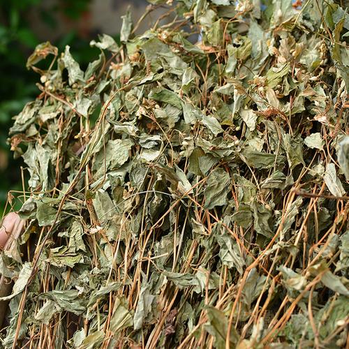 新鲜野生鱼腥草全颗带根晒干农家无硫折耳凉茶原料邮 500g 鱼腥草干