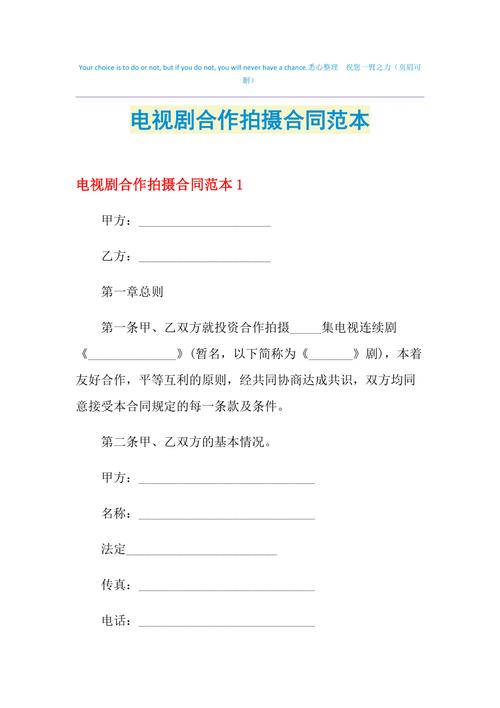 2021年电视剧合作拍摄合同范本