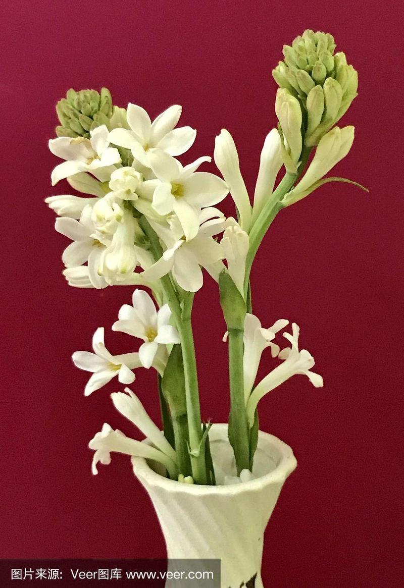花瓶,晚香玉,花束,白色,芳香的