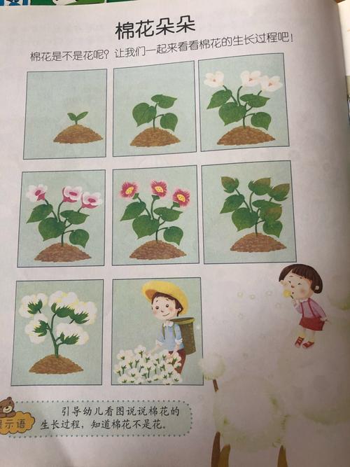 科学《棉花朵朵》 了解棉花的生长以及棉花变成棉布的大致过程,对布的