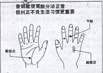 十个手指都是药十指治病大全