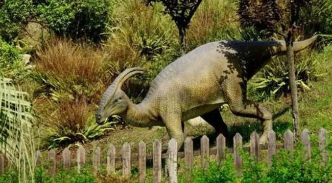 食草恐龙和别的恐龙有哪些区别