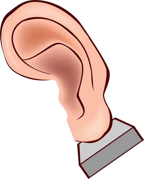 耳朵卡通图片大全