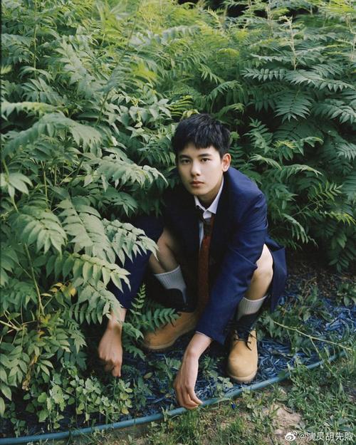 "老戏骨"胡先煦竟然长那么大了,竟然变成"新一代"花美男了!