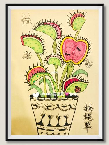 创意美术ppt课件|儿童画96线描捕蝇草91_创意美术