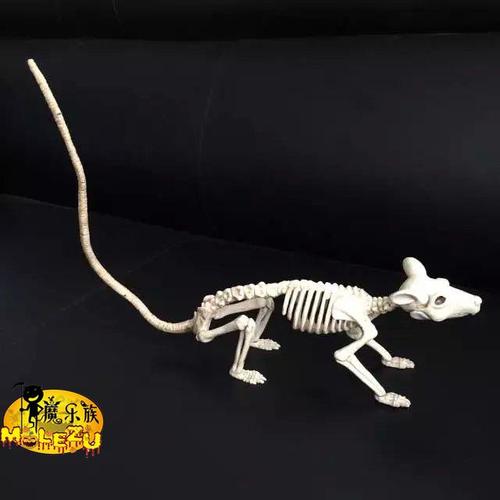 鬼屋密室逃脱机关仿真老鼠模型骨头万圣节恐怖道具盗墓骷髅骨架骼