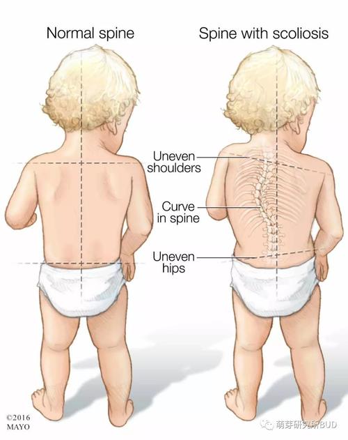 学一个好坐姿是孩子的开学第一课