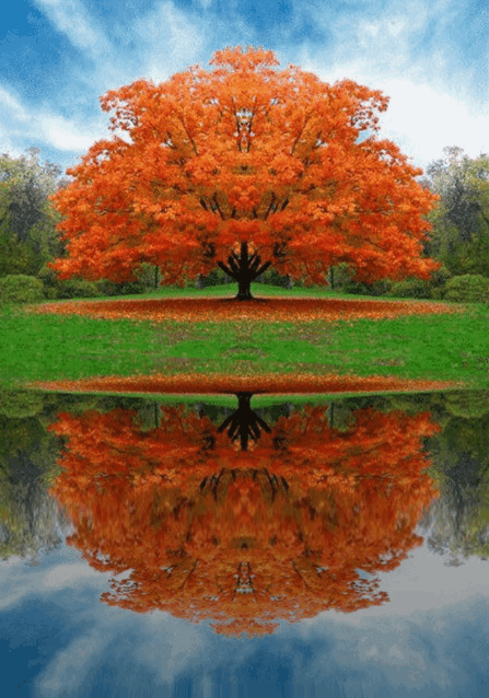 动态山水画壁纸:青山看不厌,流水趣何长