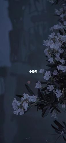 小众_小众_壁纸_素材_壁纸