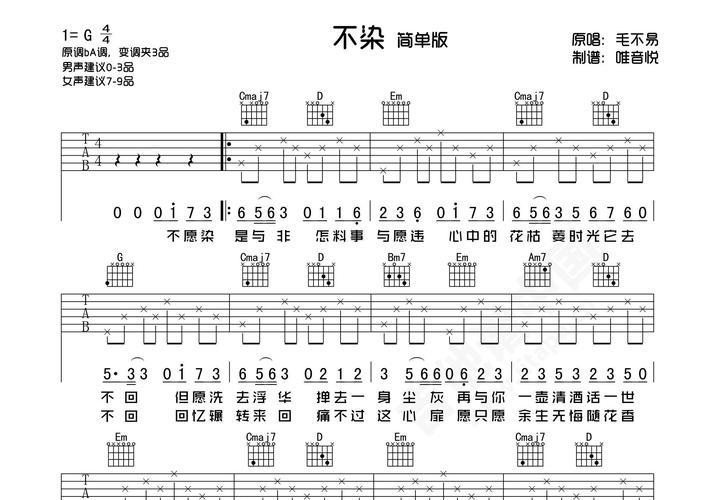 不染吉他谱毛不易g调简单版弹唱谱