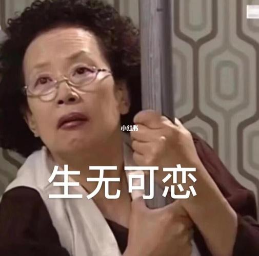 搞笑一家人/罗文姬表情包分享!_表情包_搞笑_表情包分享_素材_表情包