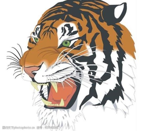 ai 咆哮老虎矢量图免费下载 保护动物 老虎头像 猛虎 咆哮老虎 野兽
