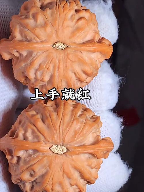 梦幻皮质纯野生金牛狮子头_金牛座_狮子头_美食_美食展示_食材展示