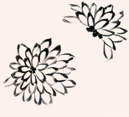 国画知识:不会画菊花?教你5种菊花画法,简单易学,快来