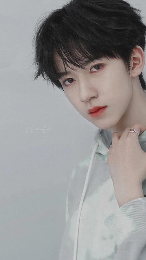 清冷系少年@时代少年团—贺峻霖 - 堆糖,美图壁纸兴趣