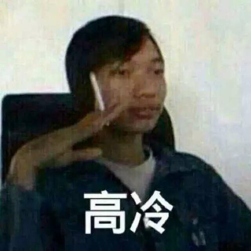 高冷_高冷表情