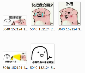 抖音傲娇生气变猪表情包
