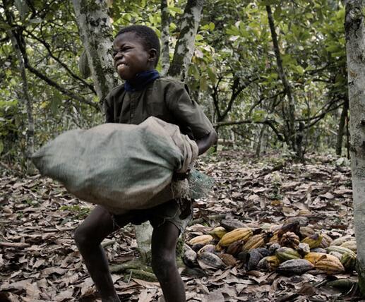 有钱人一条烟就能将他们买回家,在农场里干活累到死!