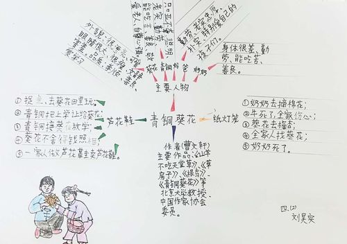 《青铜葵花》思维导图优秀作品展示