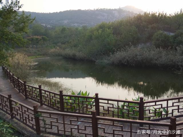 连云港锦屏山森林公园,秋意正浓,天高气爽,赏秋正当时