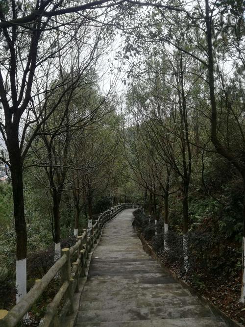 定南南山公园