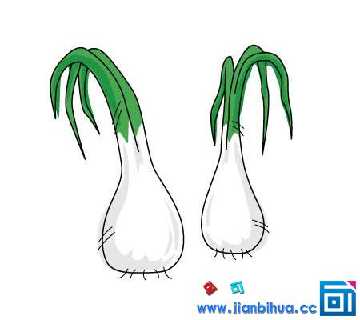 儿童画种蒜苗手抄报 儿童手抄报