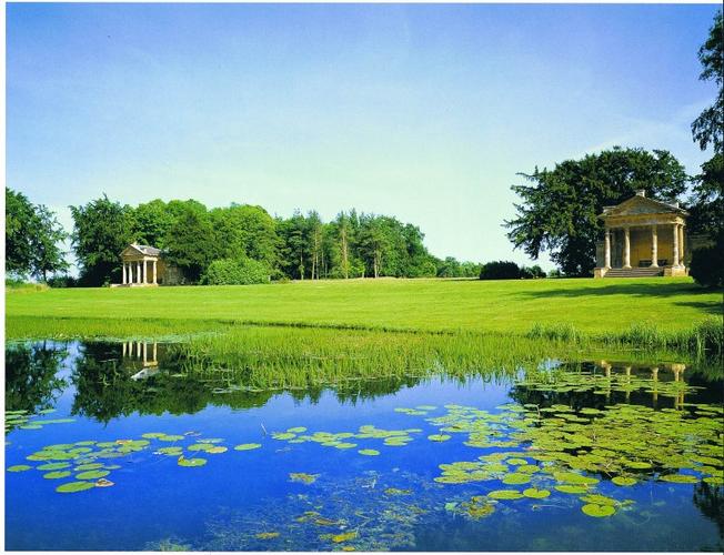 绿色养眼的微信草地美景图片