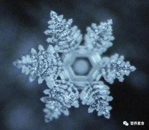 水结晶,最新发现:新型冠状病毒全球为什么会