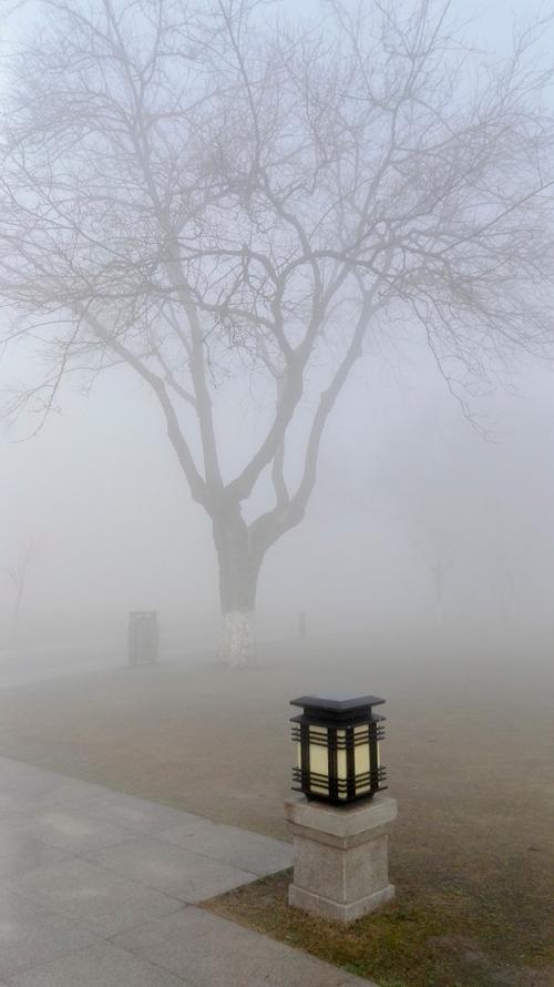 迷雾|||华为手机 - 2019-2-24早晨摄于一场大雾中南京情侣园教堂外的