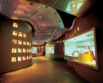  p>上海科技博物馆是上海的科普教育基地和休闲旅游基地,展现的是中国
