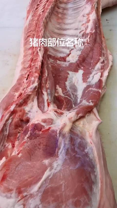说实话,吃了这么多年猪肉,头条君还没搞清楚猪肉各部位的名称