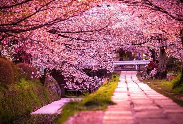 >>>札幌松前公园:感受北海道的浪漫
