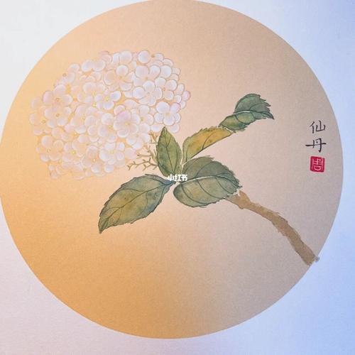 绣球花|国画挑战2_绣球花_国画_绘画_南京自由行热门攻略_水彩颜料