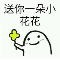 送你小花花套路表情包_微信头像图片大全