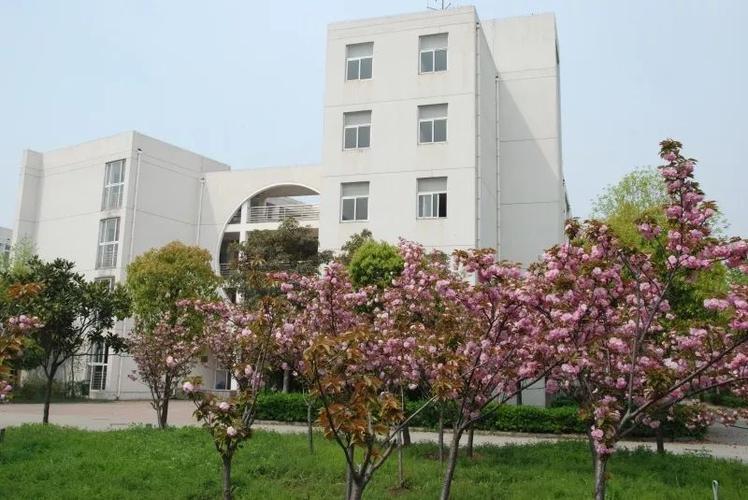 新天平学院来了!未来地址在…-江苏教育网