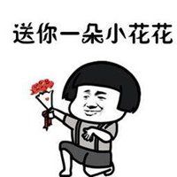 送你小花花套路表情包_微信头像图片大全