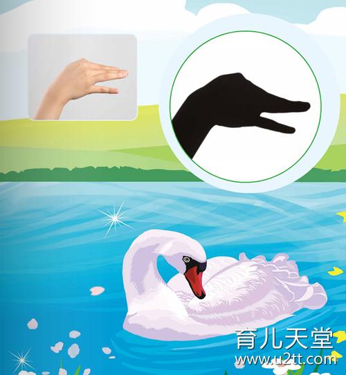 大白鹅的手影游戏表演教程