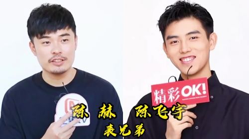 娱乐圈鲜为人知的关系陈赫陈宇飞是表兄弟郭京飞陆毅是连襟